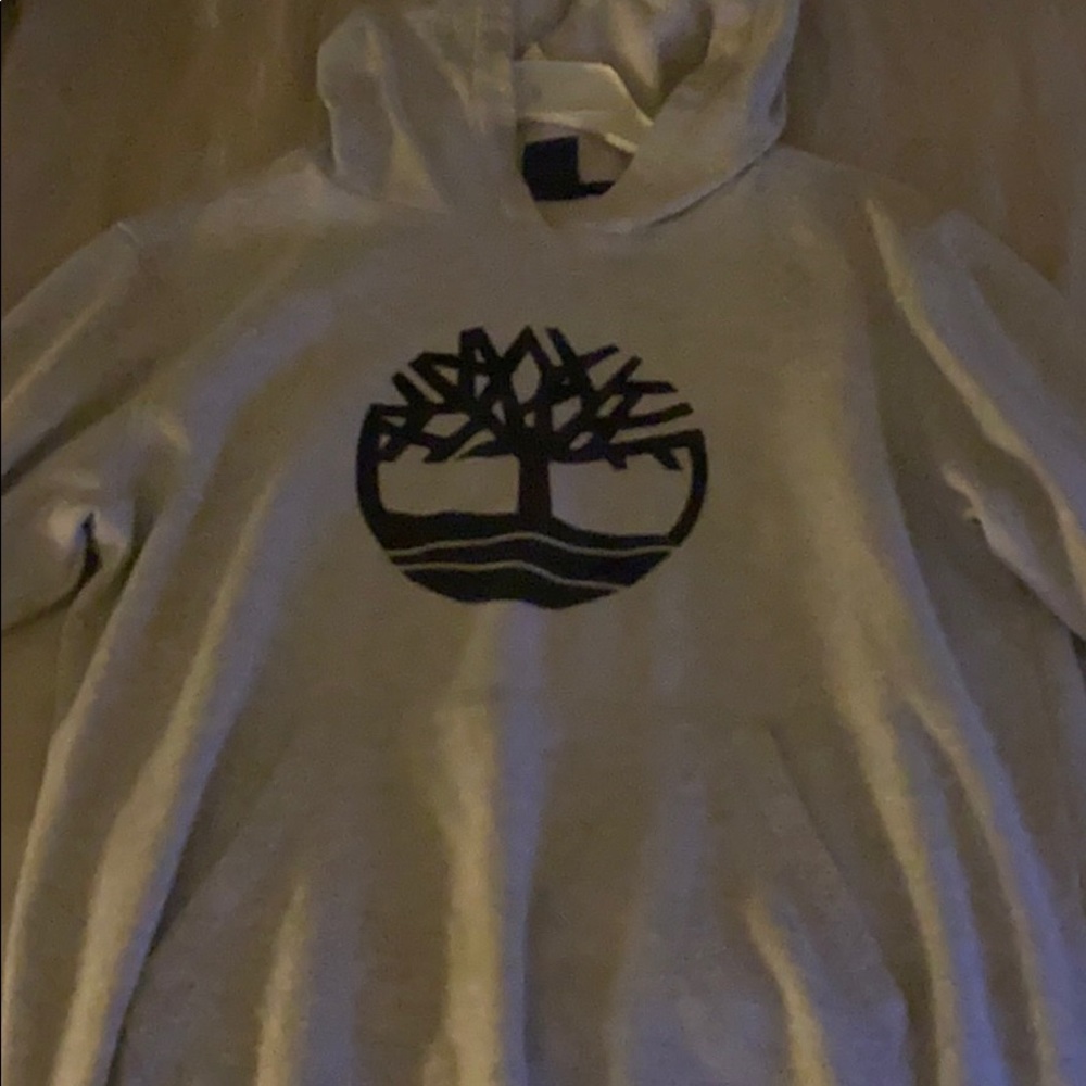 GREY TIMS HOODIE